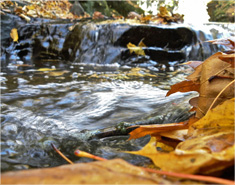 【MAC版】适配的呼死TA